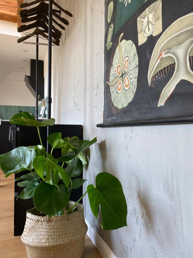 Apartmán Nordic Huus Butjadingen Exteriér fotografie